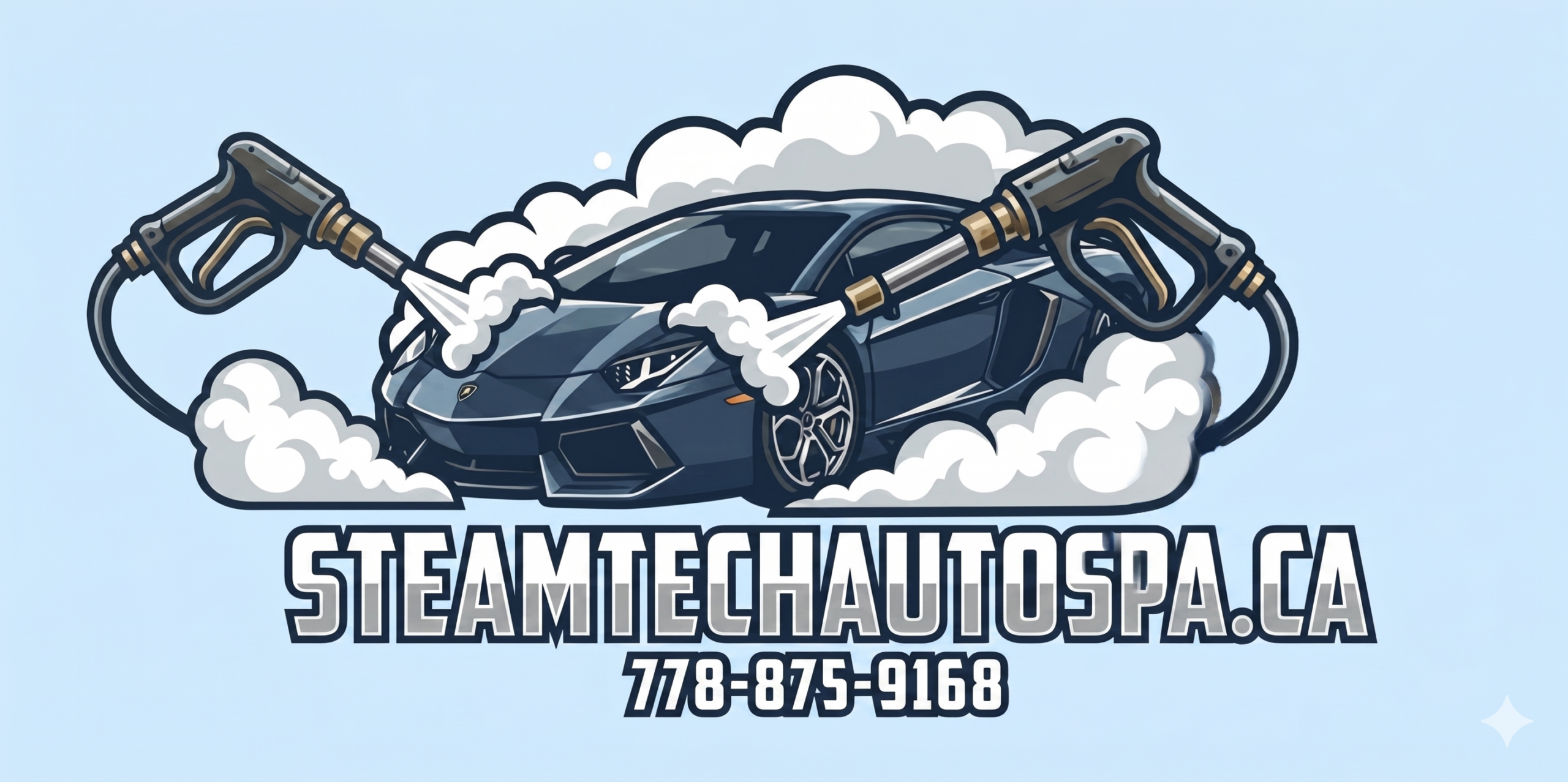 S.T.A.S. | Vancouver’s #1 Rated Steam Detailing & Certified Mold Removal